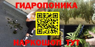 jwh Гусев