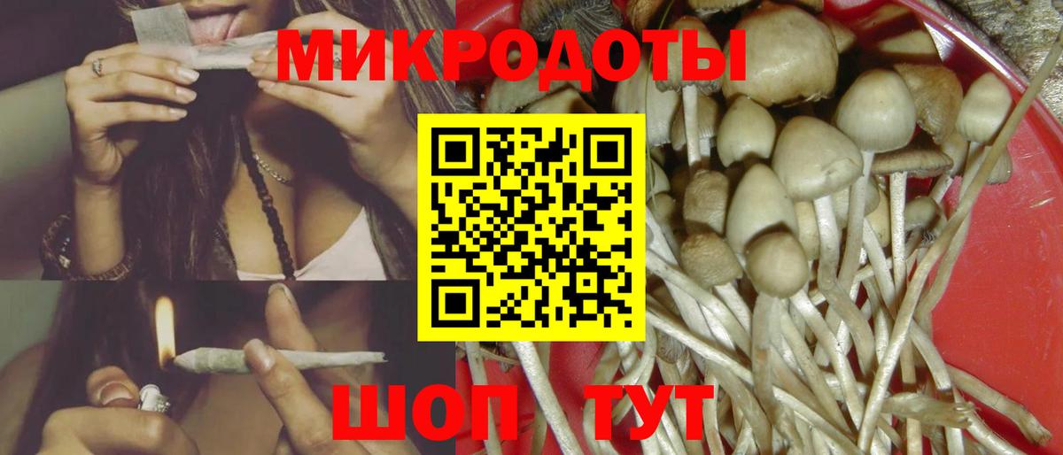 Псилоцибиновые грибы Psilocybine cubensis Хабаровск